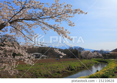 Oshino Fuji 15210628