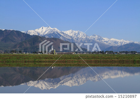 Northern Alps of spring desired from the foot of the mountain Northern Alps of spring desired from the foot of the mountain 15210897
