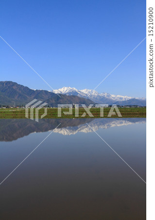 Northern Alps of spring desired from the foot of the mountain Northern Alps of spring desired from the foot of the mountain 15210900