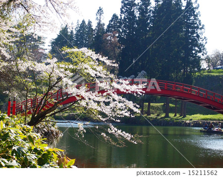 park park 15211562