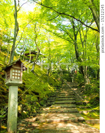 Temple of the fresh green 15212145