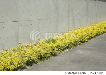 Planting Planting 15212404
