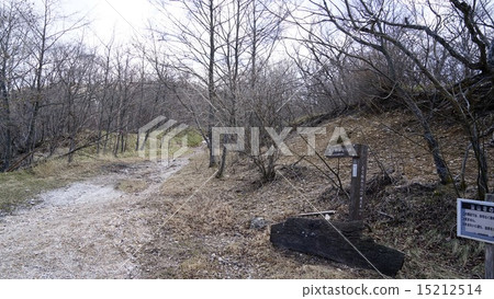 從大沼到Choshinoro的分支 15212514