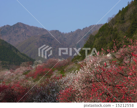 Hualomon Tsukigawa Onsen Taoyuan Town 15212558