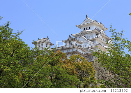 A fresh green Himeji castle A fresh green Himeji castle 15213592