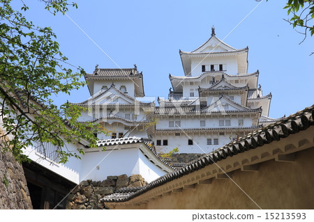 A fresh green Himeji castle 15213593