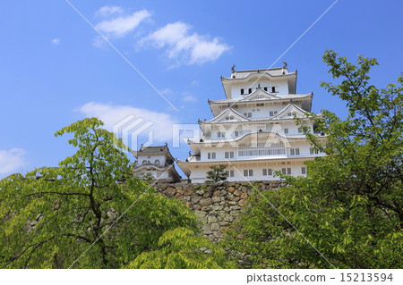 A fresh green Himeji castle A fresh green Himeji castle 15213594