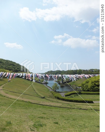 Carp streamer 15213640