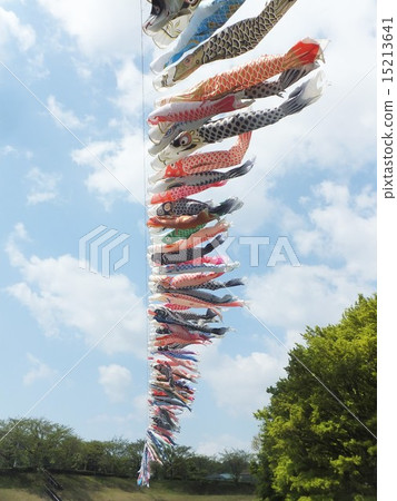 Carp streamer 15213641