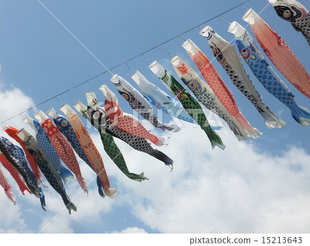 Carp streamer Carp streamer 15213643