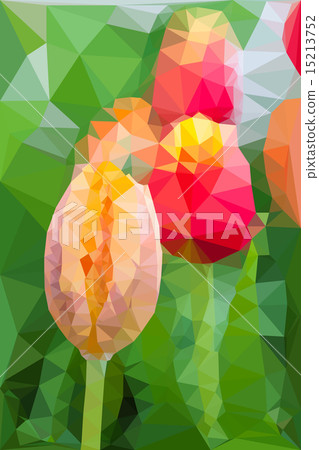 Triangular low poly style of tulip Triangular low poly style of tulip 15213752