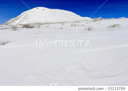 Nasu / Mikomi Akira in winter Nasu / Mikomi Akira in winter 15213789