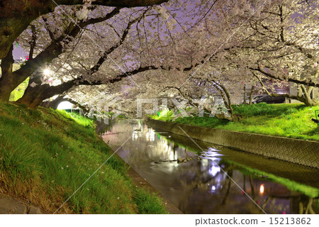 Gojo river at night Gojo river at night 15213862