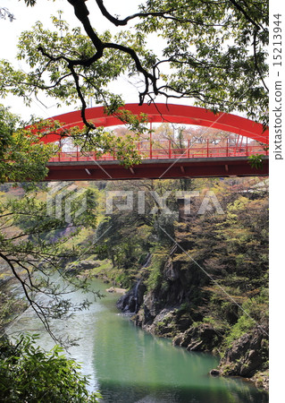 Takado Gorges 15213944