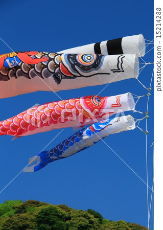 Carp streamer 15214288