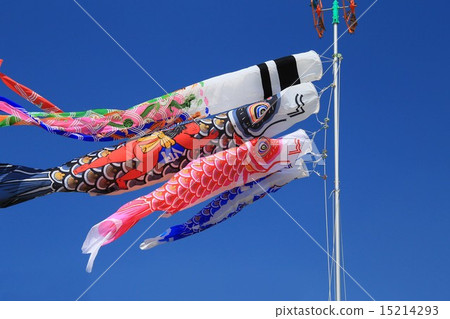 Carp streamer Carp streamer 15214293