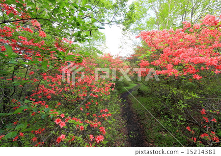 Tochigi · Happo is the original Yamato river 15214381