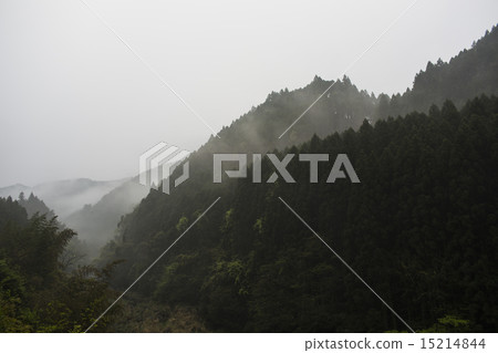 Valley of fog Valley of fog 15214844