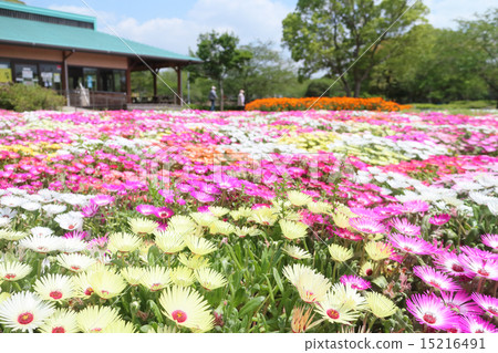 Sodegaura Park · Flower Terrace 15216491