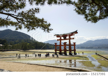 嚴島神社退潮,Otorii 嚴島神社退潮,Otorii 15217391