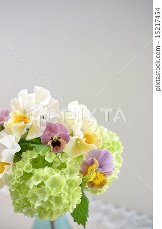 Arrangement of Vivanum and Pansy 15217454