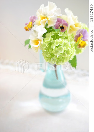 Arrangement of Vivanum and Pansy 15217489