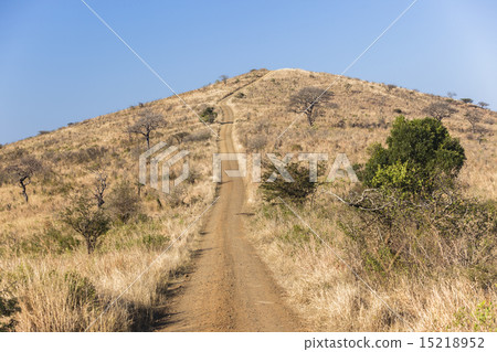 Dirt Road Hill Wilderness Dirt Road Hill Wilderness 15218952