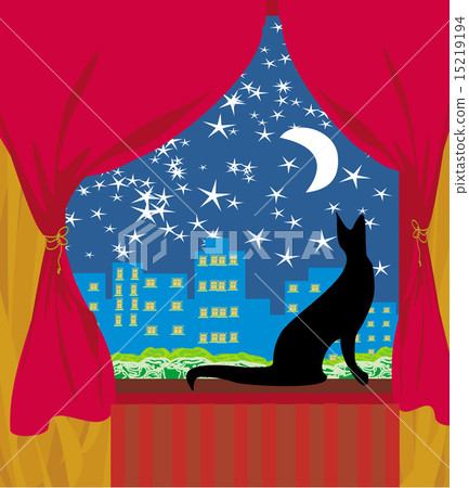 cat looks out the window 15219194