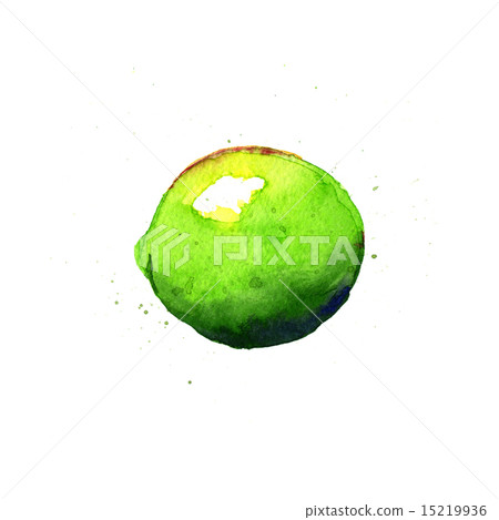 Lime. Watercolor illustration Lime. Watercolor illustration 15219936