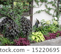  English garden 15220695