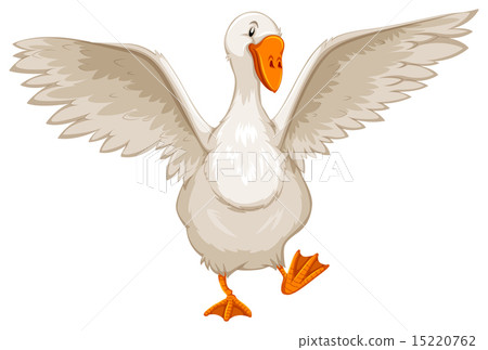 Goose Goose 15220762