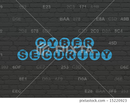 Protection concept: Cyber Security on wall background Protection concept: Cyber Security on wall background 15220923