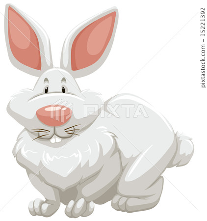 Cute rabbit Cute rabbit 15221392