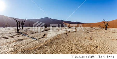 beautiful landscape of Hidden Vlei in Namib desert 15221773