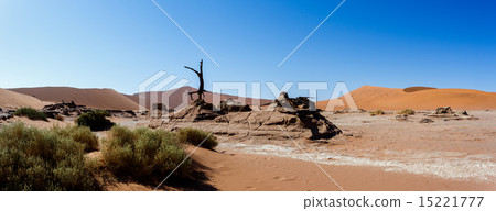 beautiful landscape of Hidden Vlei in Namib desert 15221777