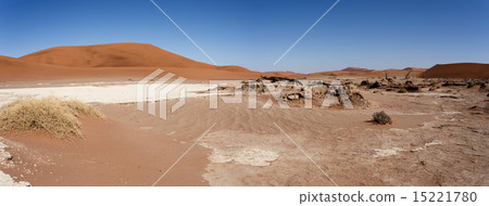 beautiful landscape of Hidden Vlei in Namib desert 15221780
