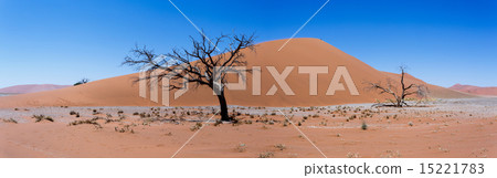 wide panorama Dune 45 in sossusvlei Namibia 15221783