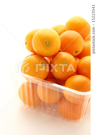 Kim Cit Itself 15223541