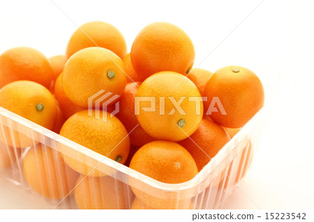 Kim Cit本身 15223542