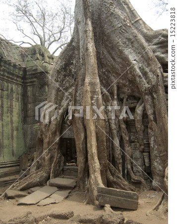 Angkor Wat Taprom 15223818