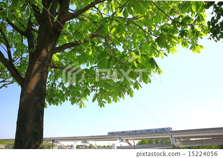 寺廟劃線員和新鮮的綠色和藍天 15224056