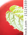 Mint 15224389