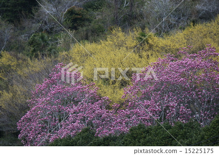 春天的山 春天的山 15225175