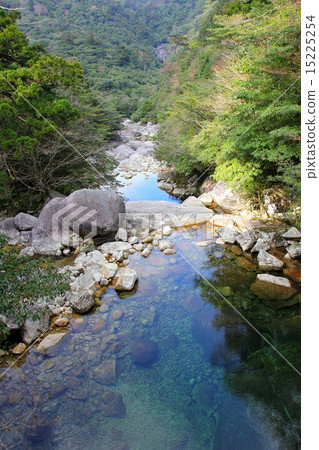 屋久島河 屋久島河 15225254