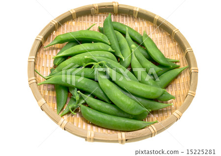 Snack pea 15225281