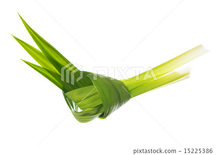 Pandan leaves 15225386