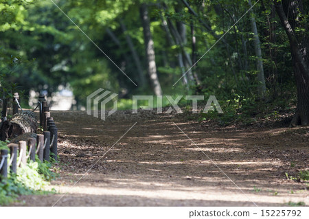 Trail Running Course 2 15225792