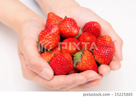 Watching ~ Tsuitaya's strawberries 15225885
