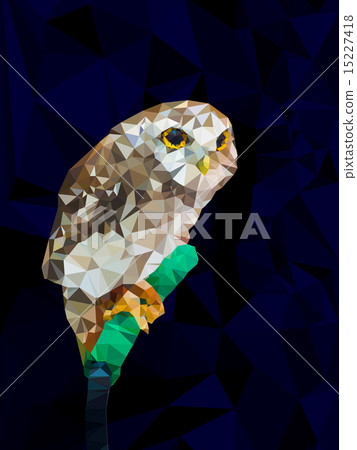 Low poly design geometric of owl Low poly design geometric of owl 15227418