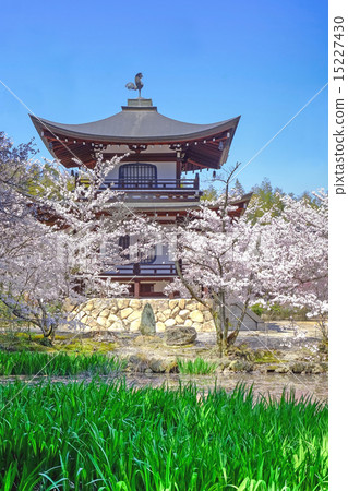 春天佛教寺廟Kannondo 春天佛教寺廟Kannondo 15227430